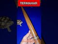 TERMAHAR Pusaka sigar Jantung tombak klasik? #kerispusakanusantara #pusaka #langka #warisanleluhur