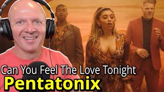 Music Teacher Reacts To Pentatonix Can You Feel The Love Tonight