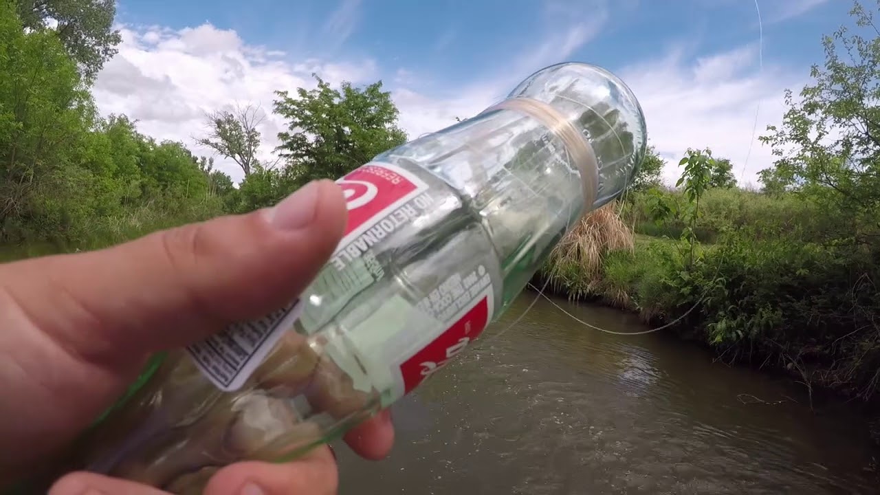 I Made a Fish Trap Out of a Coke Bottle! **Amazing Results**