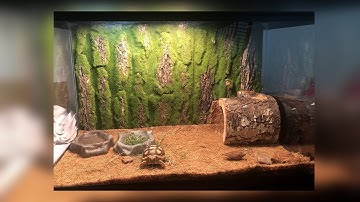 Coconut fiber mat for reptiles