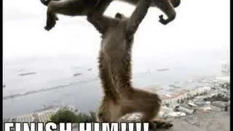 Hardcore Metal Slideshow -Impending Doom-For All Have Sinned