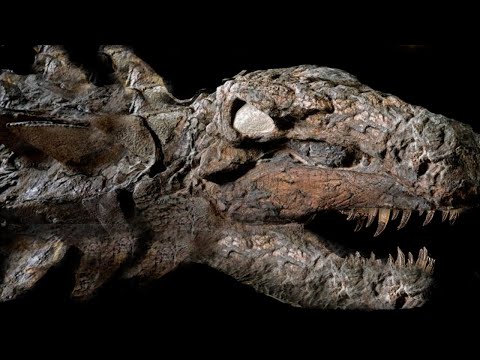 Vídeo: Nuevos Fósiles De Dinosaurios Han Dado Lugar A Hallazgos Sorprendentes - Vista Alternativa