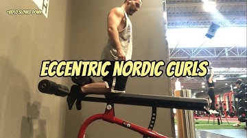 How To Do A Eccentric Nordic Curl
