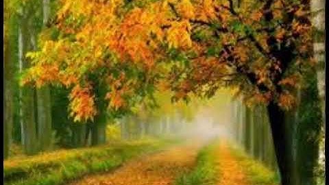 (إن الله لعن الكافرين ) تلاوة خاشعة للشيخ سعد الغامدي