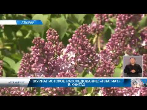 Журналистское расследование: «Плагиат» в книгах Журналистское расследование: «Плагиат» в книгах