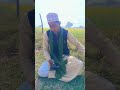 Hafiz Bilal Smiley 