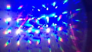 Catseye Diffraction Glasses at Zoo Project Festival