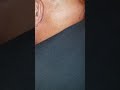 Rumple Minze "SPINNING ME ROUND" results - part 2 @ DPH