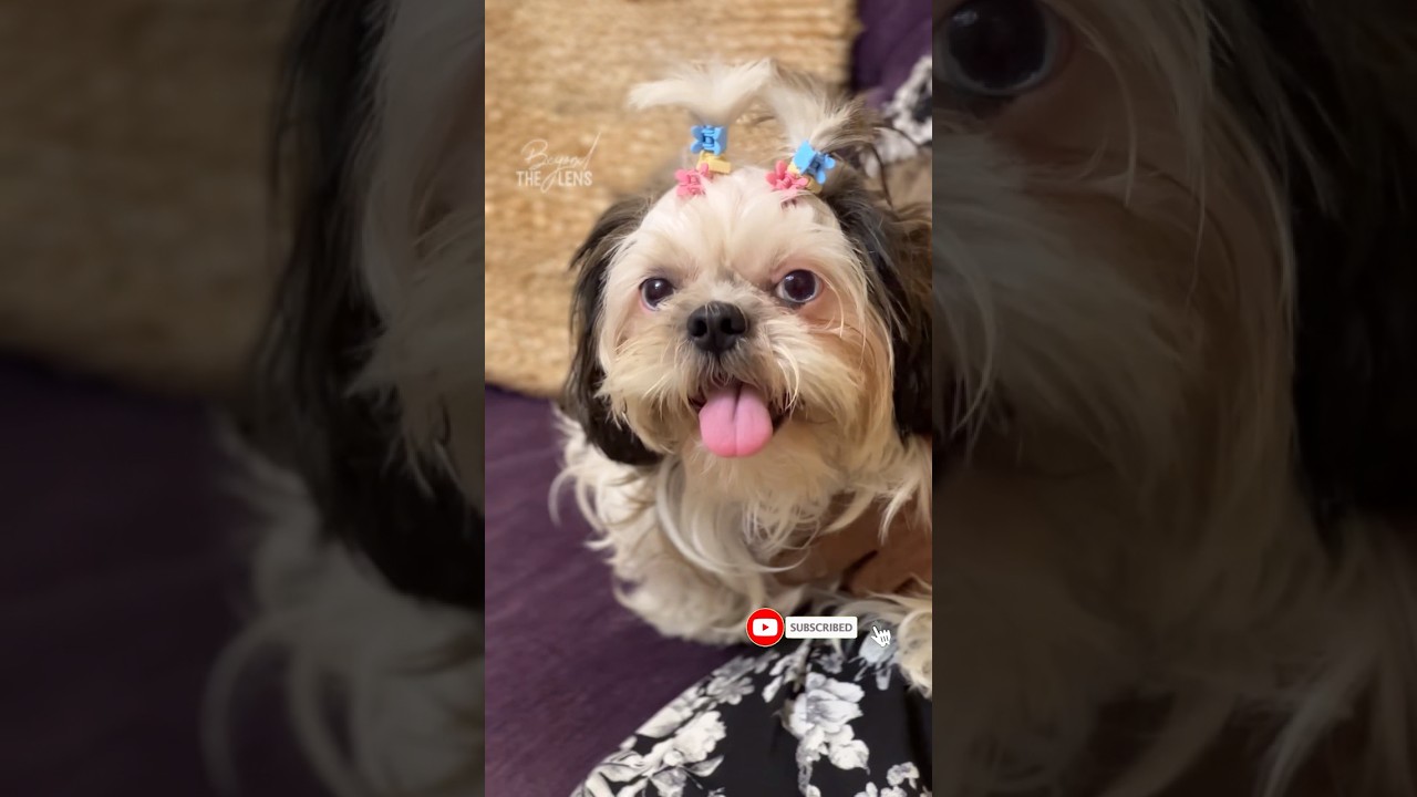 Our cute Dundu❤️❤️