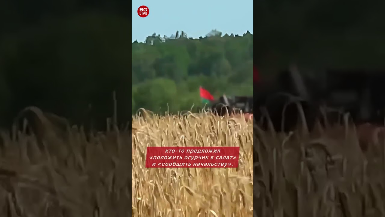 Где мясо, повар? В TikTok показали, как кормят комбайнеров в Вороновском районе — в сети спорят