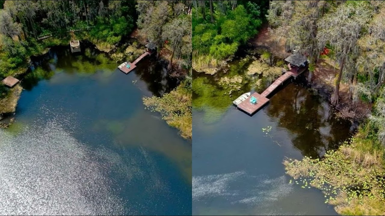 N 17309 DALE MABRY HIGHWAY LUTZ, FL 33548