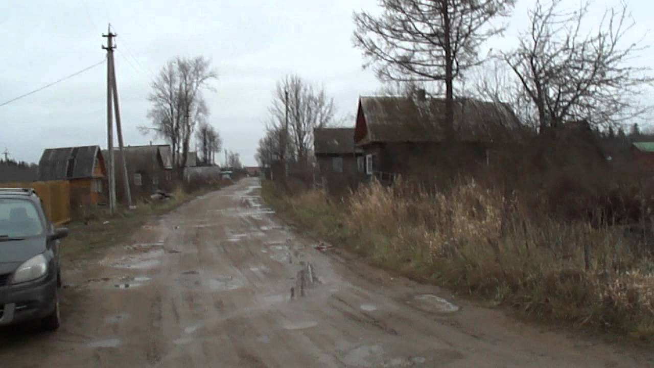 Деревня нивы волховский район