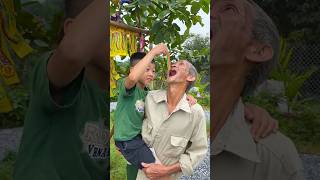 Asmr Americas Cabbage Original Dubble Bubble Gum 3 Fruit Flavors And Eating Sounds