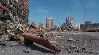 Surviving the Storm: How We Overcame Hurricane Helen 2024!
