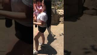 San Diego Zoo Feeding The Giraffes