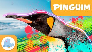 O PINGUIM 🐧 Animais para crianças ❄️Episódio 2 screenshot 4