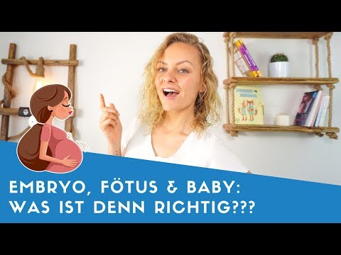 Video: Unterschied Zwischen Embryo Und Fötus