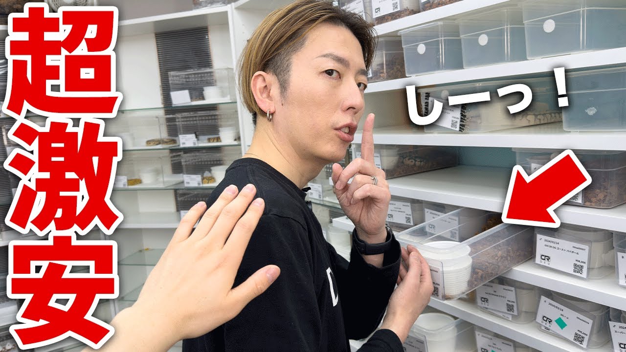 ヘビ屋で「一番安いヘビください」と言ったら何が出てくるのか？