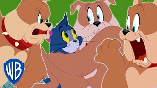 Tom Y Jerry En Latino Lo Mejor De Spike Y Tyke Wb Kids