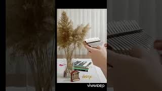 eklemedir koca konak - kalimba