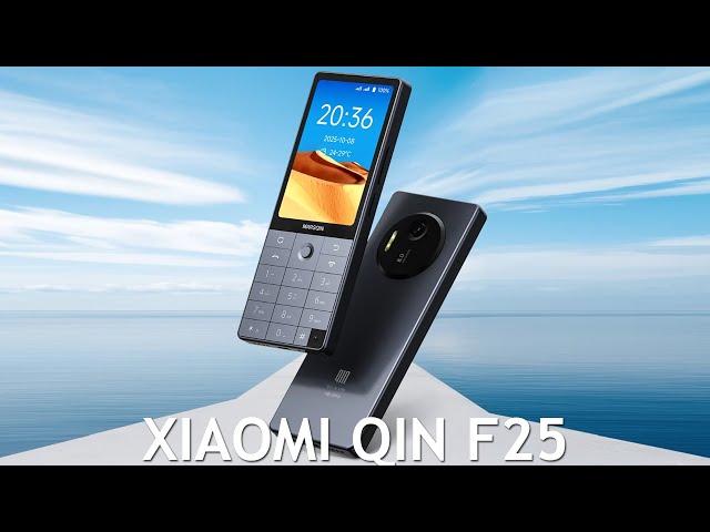 The Xiaomi QIN F25, a touch-sensitive king of the smartphone