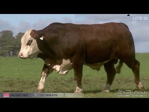LOTE 002