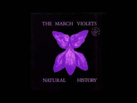 The March Violets — The March Violets ‎– Grooving In Green (1982)