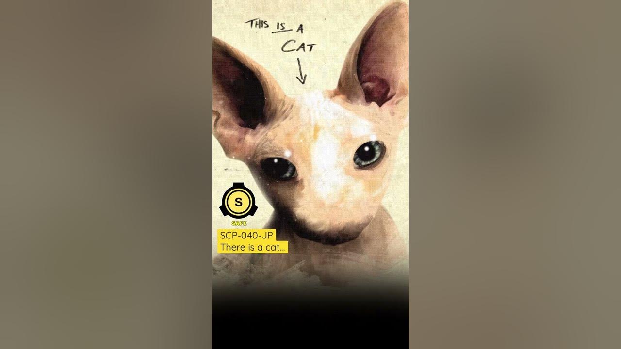 Why are people acting like SCP 040 JP is a powerful entity when it's just a  Hut that makes you see a distorted cat? - Quora