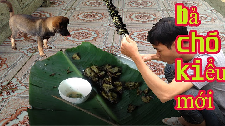 cách làm bả chó bằng bóng đèn