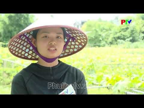 NÔNG DÂN THI ĐUA SẢN XUẤT, KIẾN TẠO GIÁ TRỊ MỚI