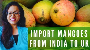 Import Mangoes from India into UK- THINGS TO KNOW!