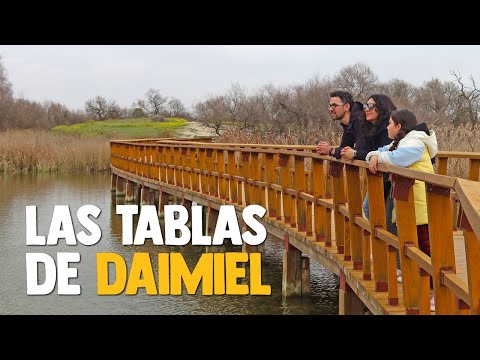 PARQUE NACIONAL LAS TABLAS DE DAIMIEL | CIUDAD REAL