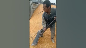 Sharing methods for grain unloading