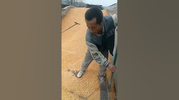 Sharing methods for grain unloading