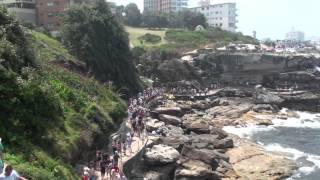 Sculptures By The Sea ,Bondi Beach