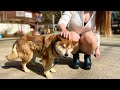 【女ひとり旅】奥飛騨温泉郷を満喫するOL