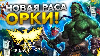 ASHES OF CREATION UPDATE: Раса Орков и новые гномы. Изменения в боевке и оптимизации