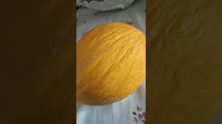 Dead Fruit! - Yellow Italian Melon! - Melone Giallo Italiano!