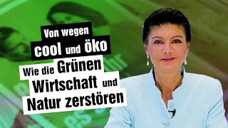 Von wegen cool und öko - wie die Grünen Wirtschaft und Natur zerstören