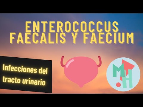 Video: ¿Qué enfermedades provoca la alcaligenes faecalis?