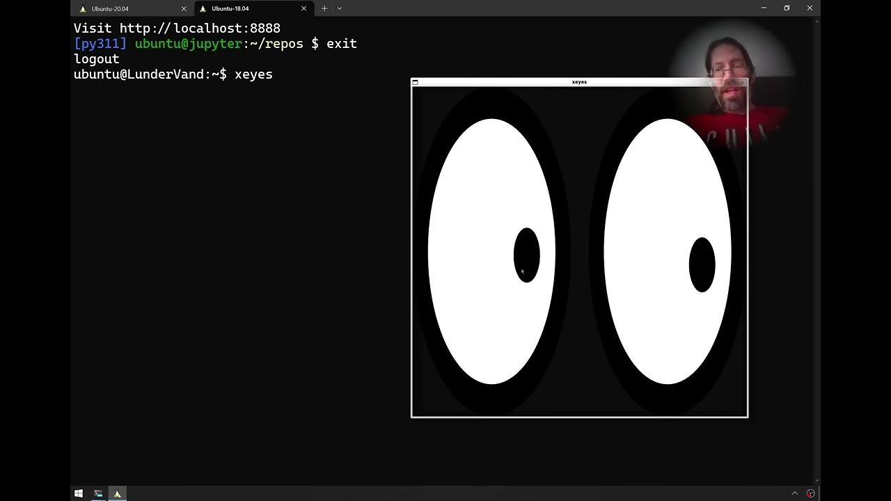 WSL Linux Graphics on Windows 10 without X Server YouTube