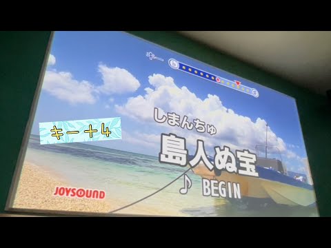 【リクエスト曲】島人ぬ宝／BEGIN キー＋4で歌ってみた。女性cover.