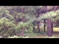 北海道大学植物園 の動画、YouTube動画。
