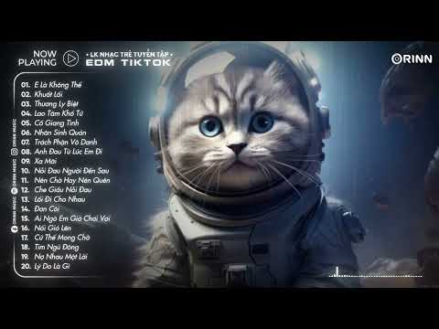 Mất Một Ngày Để Yêu Một Người - E Là Không Thể Remix - Nhạc Trẻ EDM 2025 Remix Triệu View HotTikTok