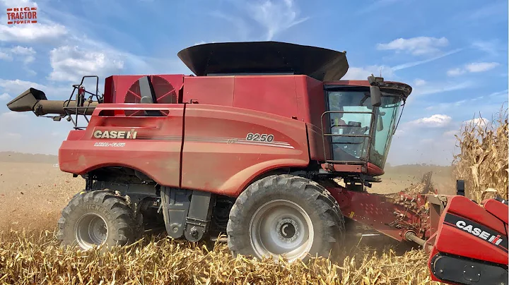 Case IH 8250 AXIAL-FLOW Combine Harvesting Corn