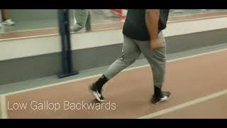 Low Gallop Backwards