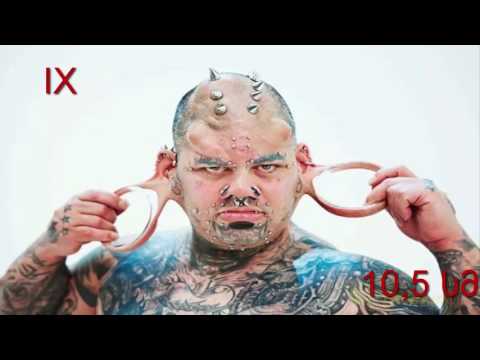 12 უცნაური გინესის რეკორდი