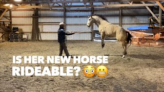 Part 1 - Evaluating her new Horse