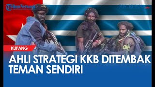 Ahli Strategi KKB Papua Hendak Ditangkap Hidup-hidup, Mendadak Ditembak Teman Sendiri!