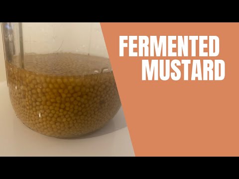 Fermented Mustard #rebelcanners